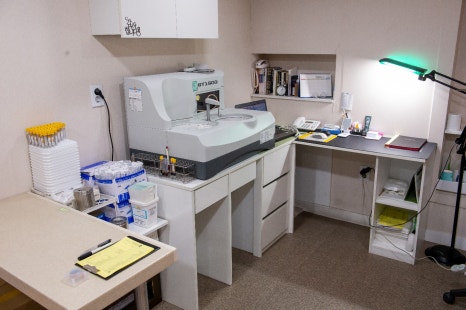 샛강역피부과 백반증 면역 억제 연고 치료 원리와 기대 효과에 대한 정보 관련 이미지 7