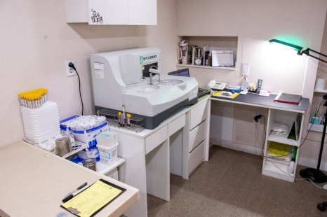 서울 백반증치료병원 엑시머레이저 치료 계획 중이시라면 필독하세요. 관련 이미지 5