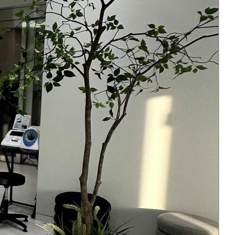 음봉동임플란트 내원 전 고려할 점 관련 이미지 9