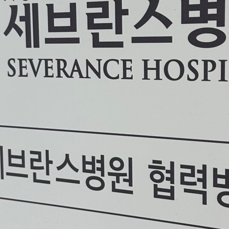 부암동임플란트 뼈 이식까지 고려해야 관련 이미지 8