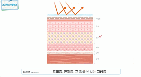 피부과 전문의와 비전문의, 어떤 차이가 있을까요? <구별 방법> 관련 이미지 3