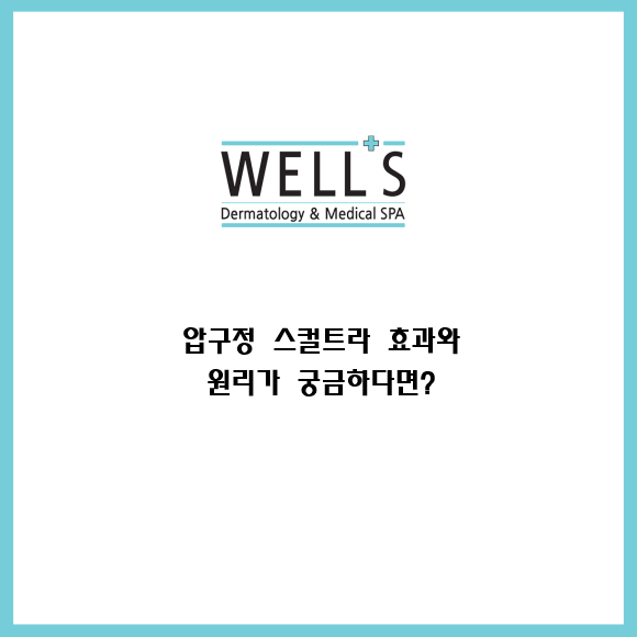 압구정 스컬트라 효과와 원리가 궁금하다면? 관련 이미지 1
