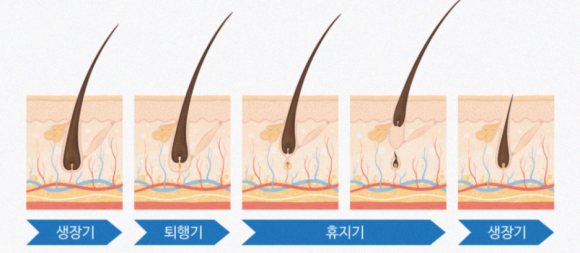 모발 안티에이징? 머리카락도 세심한 노화 관리가 필요한 순간입니다. 관련 이미지 6