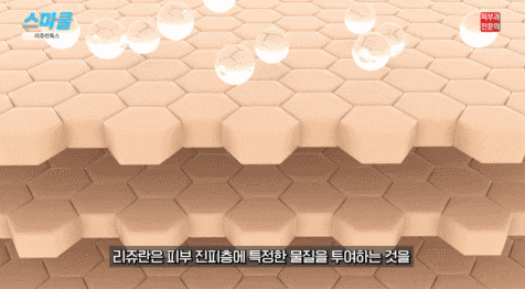 리쥬란 시술, 이것과 함께하면 주름까지 개선된다? (리쥬란톡스의 효과) 관련 이미지 2