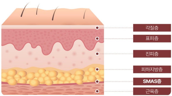 Rejuran vs. Rituo: Which Should You Choose If Your Skin Has Become Thin and Dull? image 2