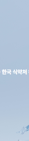 Apgujeong Under-Eye Hollowness Sculptra: A Guide to Filling It Without Worrying About Nodules or Swelling image 11
