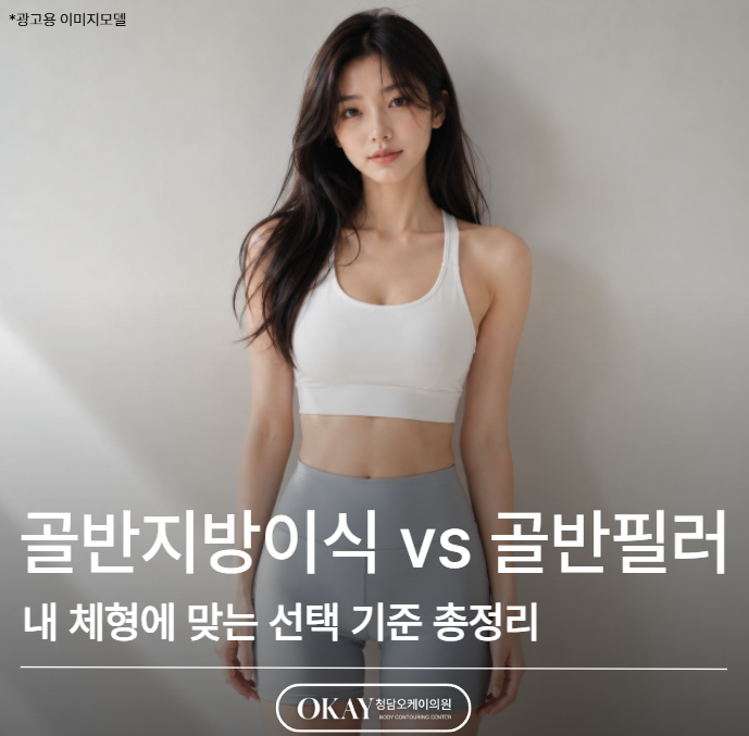 골반지방이식 vs 골반필러, 내 체형에 맞는 선택 기준 총정리 관련 이미지 1
