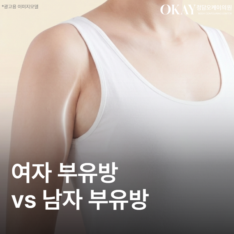 여자 부유방 vs 남자 부유방, 지방 vs 유선 차이부터 확인하세요 관련 이미지 1
