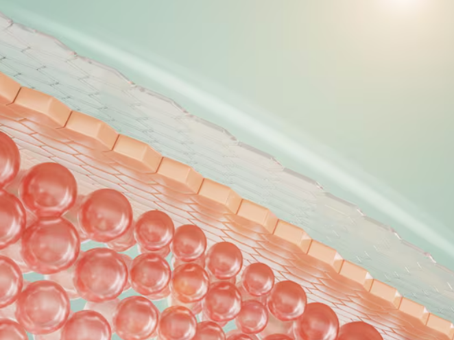 Liposuction Scars: From Removal Surgery and Costs to Management Methods image 9