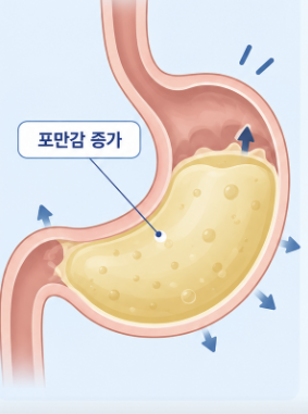 위고비, 살이 빠지는 원리와 꼭 알아야 할 부작용 관련 이미지 3