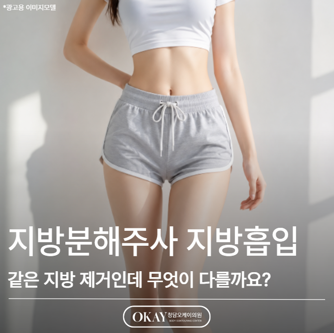 지방분해주사 지방흡입, 같은 지방 제거인데 무엇이 다를까요? 관련 이미지 1