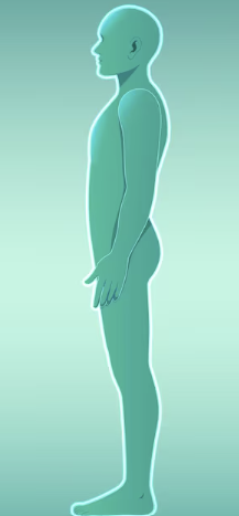 샤넬라인 지방흡입, 허벅지 안쪽만 빼면 다리라인이 예뻐질까? 관련 이미지 6