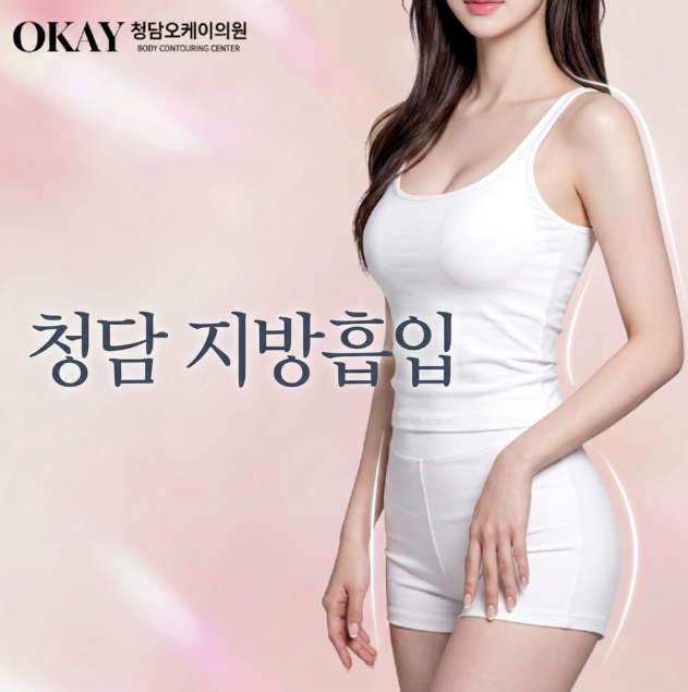 Liposuction Surgery Methods: It Is Not Simply a Procedure to Remove Fat image 2