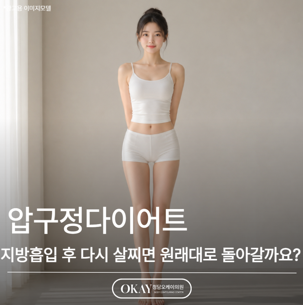 압구정다이어트, 지방흡입 후 다시 살찌면 원래대로 돌아갈까요? 관련 이미지 1