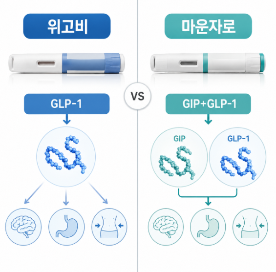 위고비 가격, 마운자로와 얼마나 차이 날까요? 처방 전 비교해보세요 관련 이미지 3