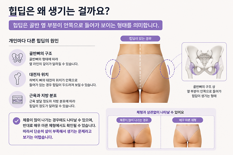 힙딥지방이식, 운동으로 안 채워지는 골반 옆 꺼짐 개선 방법은? 관련 이미지 3