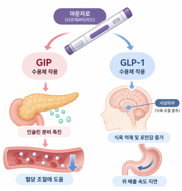 마운자로 임신, 주사 맞는 중 임신했다면 어떻게 해야 할까? 관련 이미지 3