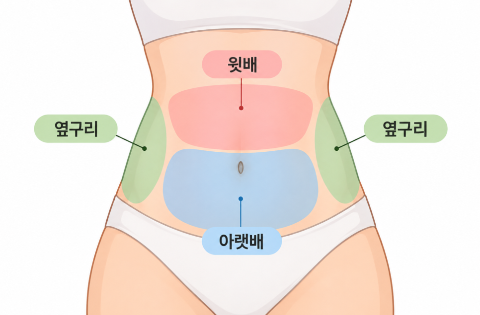 압구정복부다이어트, 체중은 빠졌는데 뱃살만 그대로인 이유는? 관련 이미지 7
