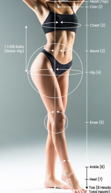 서울지방이식잘하는곳, 자연스러운 볼륨을 만드는 차이는 어디서 생길까요? 관련 이미지 8