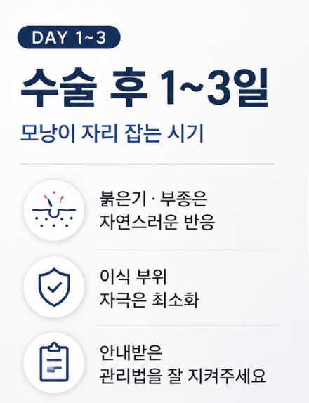 모발이식생착기간, 언제부터 안심해도 될까요? 딱지·운동·모자까지 총정리 관련 이미지 5