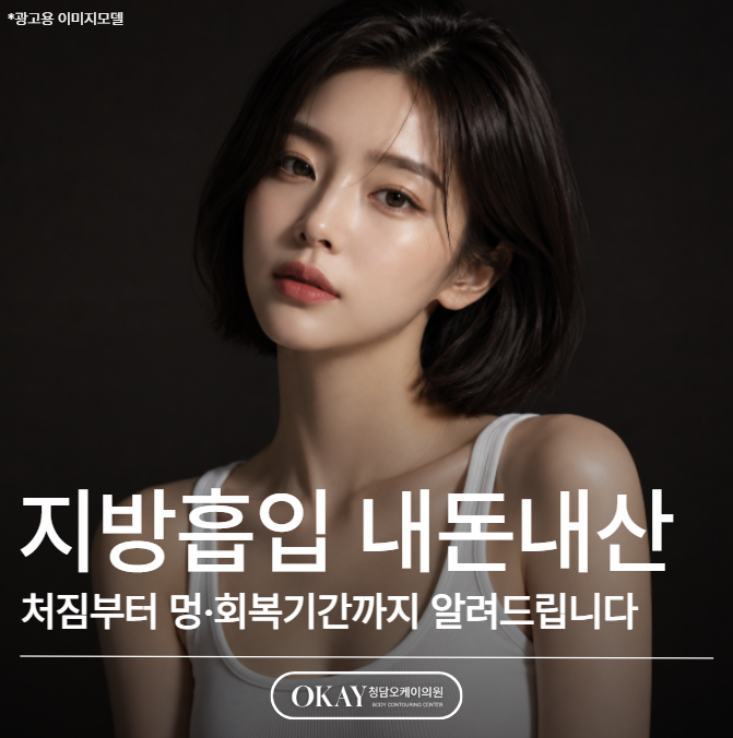 지방흡입 내돈내산, 처짐부터 멍·회복기간까지 솔직하게 알려드립니다 관련 이미지 1