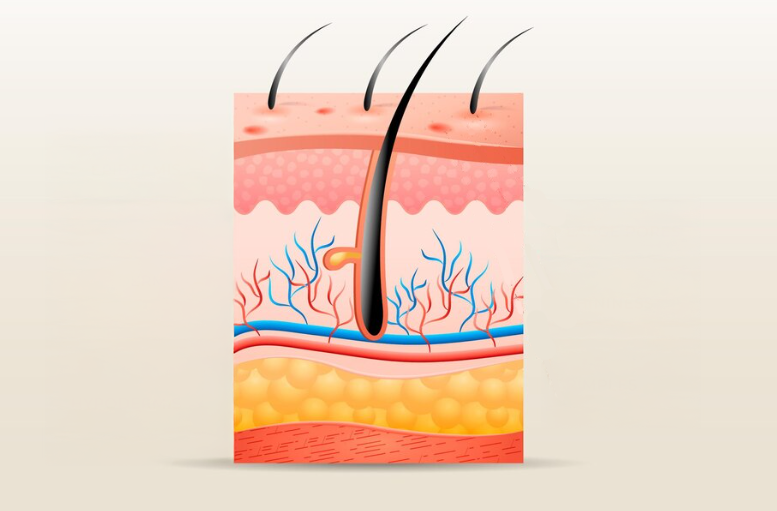 Side Effects of Cheek Fat Grafting: Whether Removal Is Possible, Plus Causes of Sagging and Calcification image 7