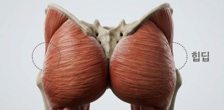 Hip Dip Fat Grafting: In What Cases Is Fat Grafting More Suitable Than Fillers? image 3