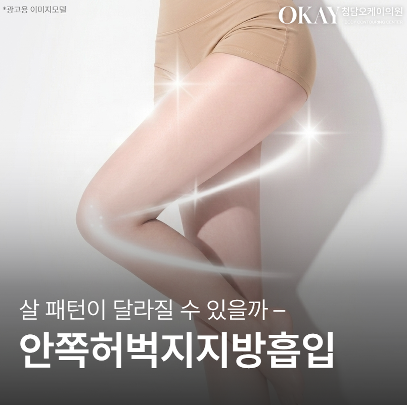안쪽허벅지지방흡입 살 패턴이 달라집니다 &ndash; 지방구조&middot;효과&middot;회복 정리 관련 이미지 1