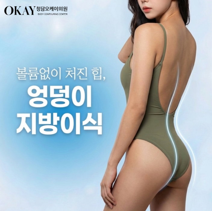 서울지방이식잘하는곳, 자연스러운 볼륨을 만드는 차이는 어디서 생길까요? 관련 이미지 2