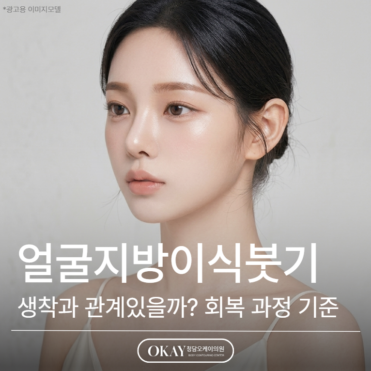 얼굴지방이식붓기 지방 생착과 관계있을까? 회복 과정 기준 설명 관련 이미지 1
