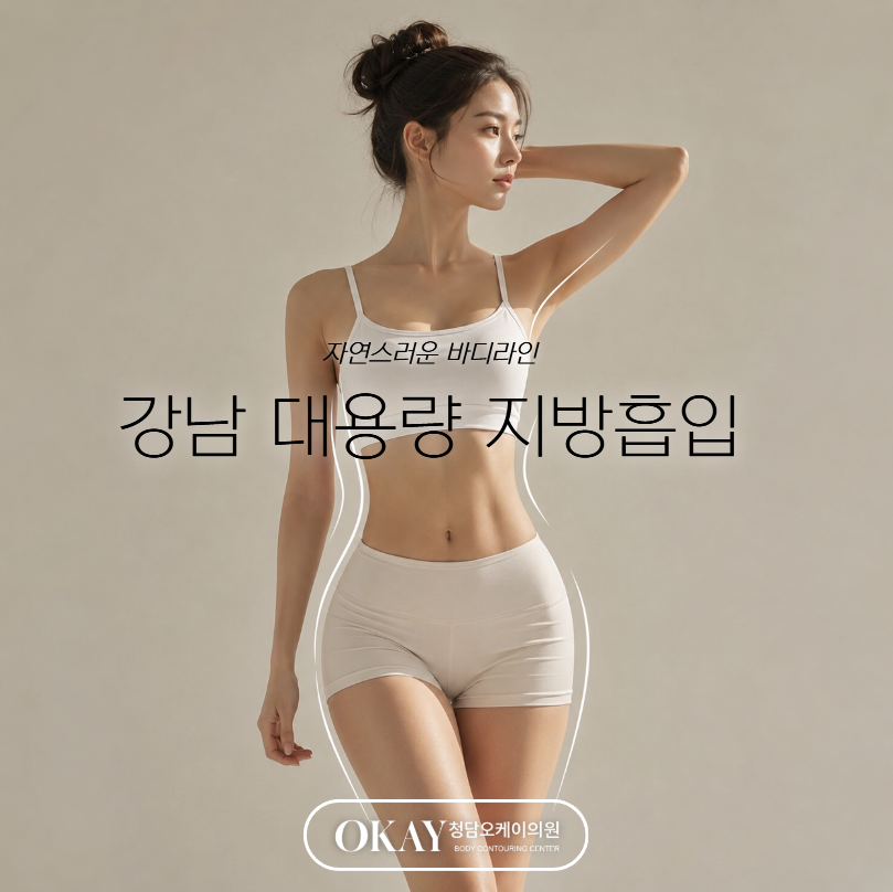 연예인지방흡입, 실제 효과와 체형 변화 기준 설명드립니다 관련 이미지 3