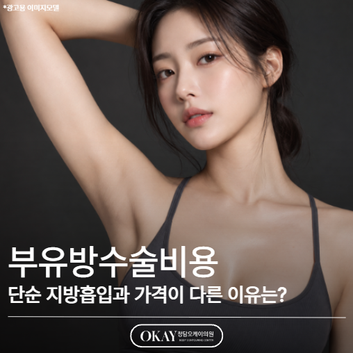 부유방수술비용, 단순 지방흡입과 가격이 다른 이유는 무엇일까요? 관련 이미지 1