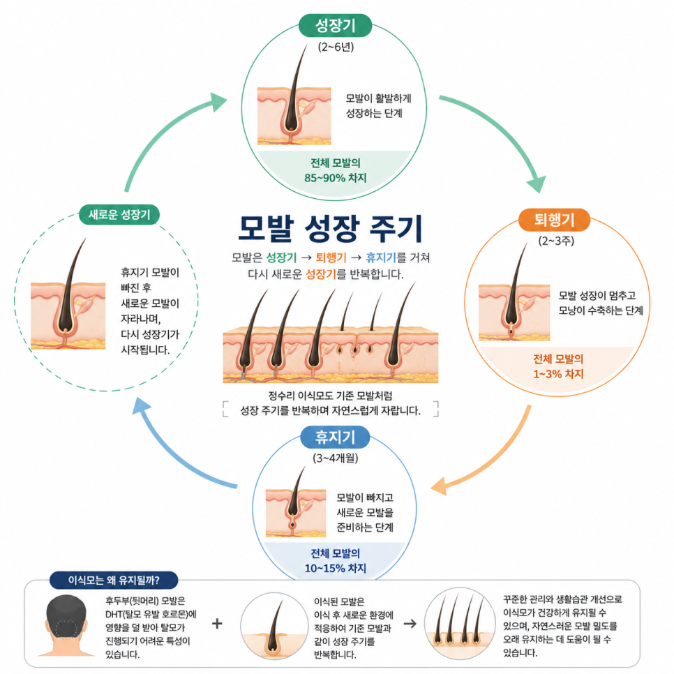 정수리모발이식, 얼마나 지속될까? 먼저 확인해야 할 관련 이미지 3