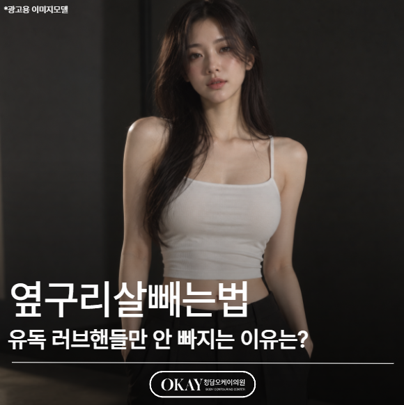 옆구리살빼는법, 유독 러브핸들만 안 빠지는 이유는? 관련 이미지 1