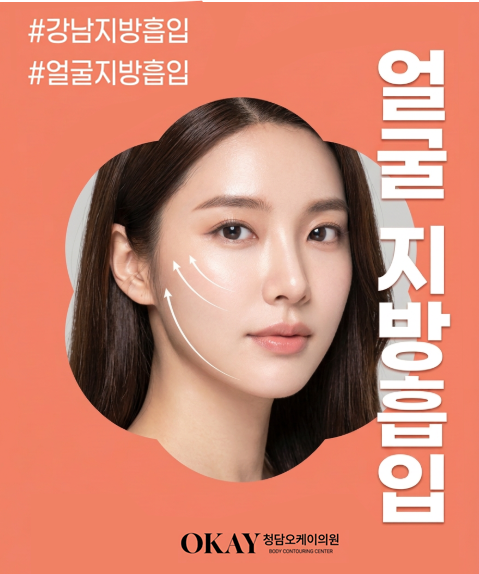 이중턱 지방흡입 생각하고 있다면 비용 후기 붓기 부작용 알아두면 도움되는 점 총정리 관련 이미지 6