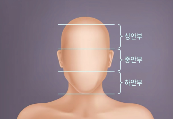 이마 지방이식 전후 얼마나 달라질까? 생착률과 유지기간 차이 정리 관련 이미지 3
