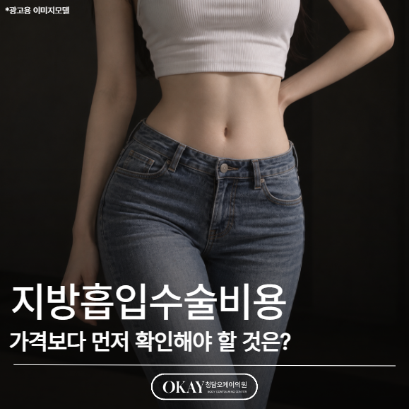 지방흡입수술비용, 가격보다 먼저 확인해야 할 것은? 관련 이미지 1