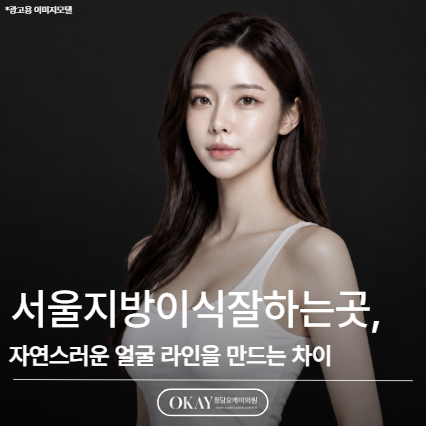 서울지방이식잘하는곳, 자연스러운 얼굴 라인을 만드는 차이 관련 이미지 1