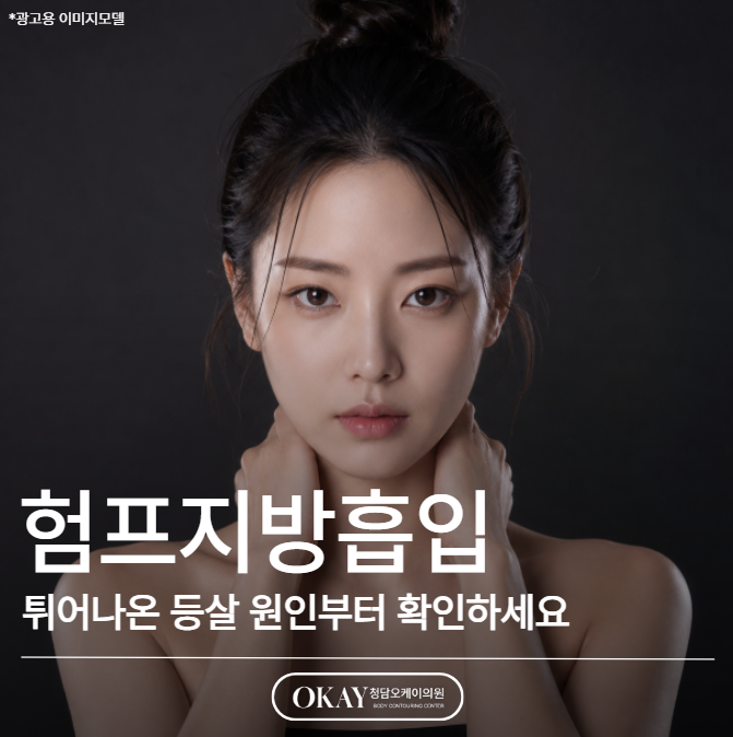 험프지방흡입, 튀어나온 등살 원인부터 확인하세요 관련 이미지 1