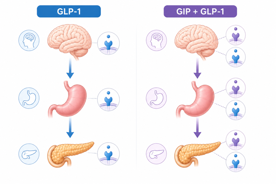 Wegovy Price: How Much Does It Differ from Mounjaro? From Cost to Prescription Criteria image 4