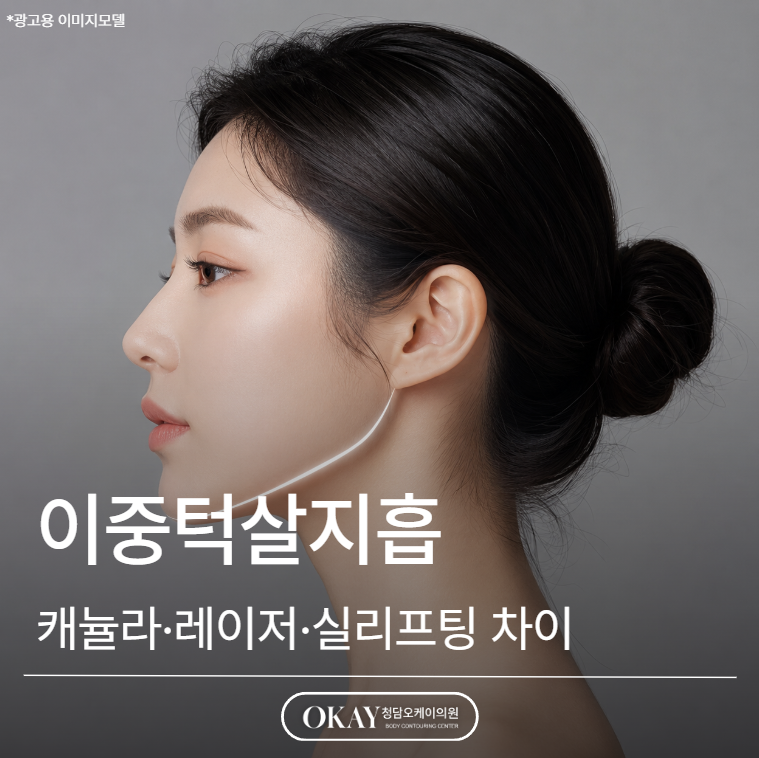 이중턱살지흡 방법 뭐가 다를까? 캐뉼라&middot;레이저&middot;실리프팅 차이 정리 관련 이미지 1