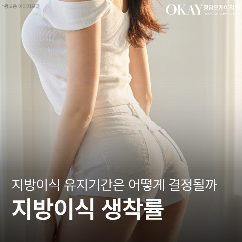 지방이식 생착률, 과하게 넣으면 오히려 줄어드는 이유 관련 이미지 1