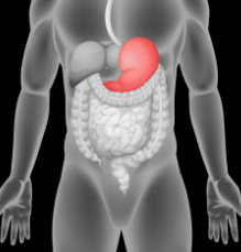 How Much Weight Can You Lose With a Wegovy Injection? Price, Effects, Prescription Criteria, Dosage Steps, Side Effects, and Injection Sites Explained image 10