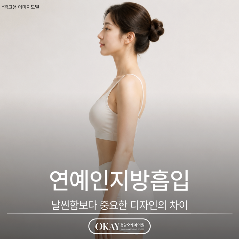 연예인지방흡입, 날씬함보다 중요한 디자인의 차이 관련 이미지 1