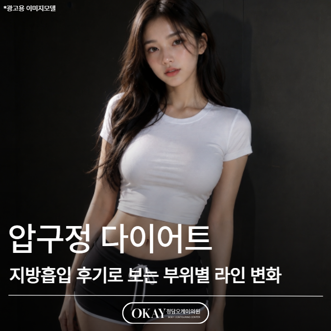 압구정 다이어트, 지방흡입 후기로 보는 부위별 라인 변화 관련 이미지 1