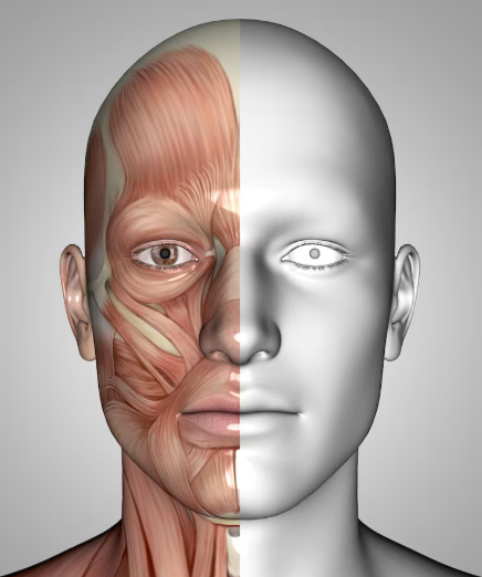 이중턱 지방흡입 생각하고 있다면 비용 후기 붓기 부작용 알아두면 도움되는 점 총정리 관련 이미지 4