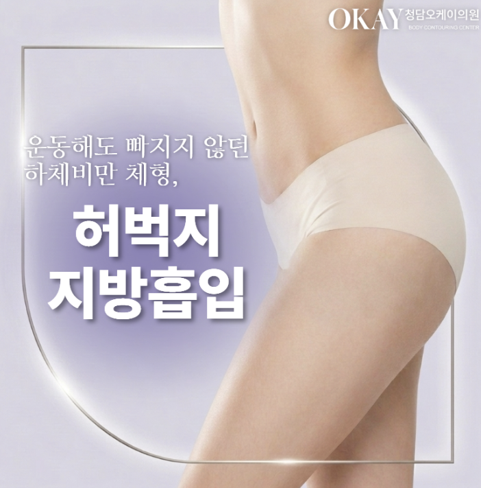 허엉무 지방흡입, 승마살부터 허벅지 안쪽까지 같이 봐야 하는 이유 관련 이미지 3