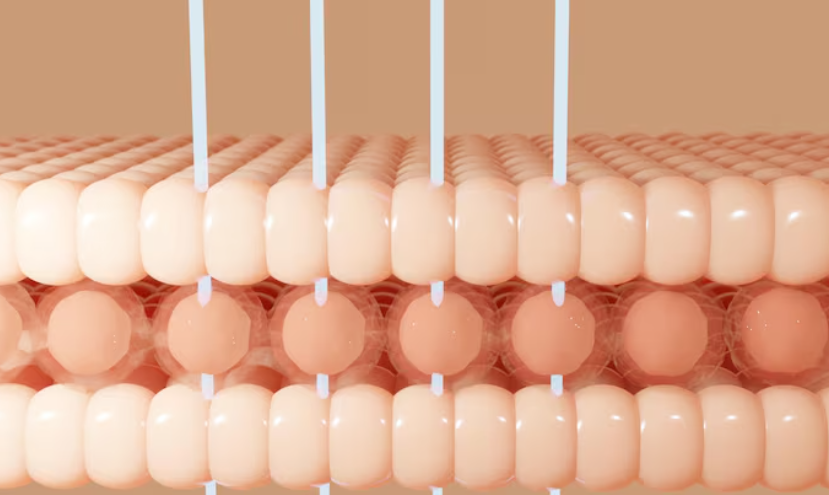 What Are the Liposuction Surgery Methods in Gangnam? A Summary of Procedure Types and Differences image 9