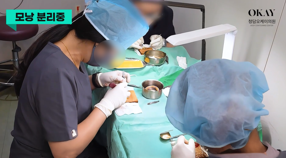 How to Calculate the Cost of Non-Incisional Hair Transplantation: Differences by Graft Count and Extraction Method, Explained Directly by the Director image 5