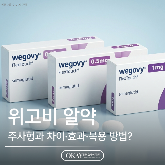 위고비 알약 있을까? 주사형과 차이&middot;효과&middot;복용 방법 총정리 관련 이미지 1